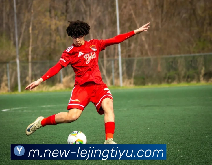 乐竞体育平台生态图